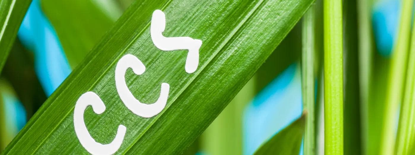 Market Update CCS/CCUS Germany