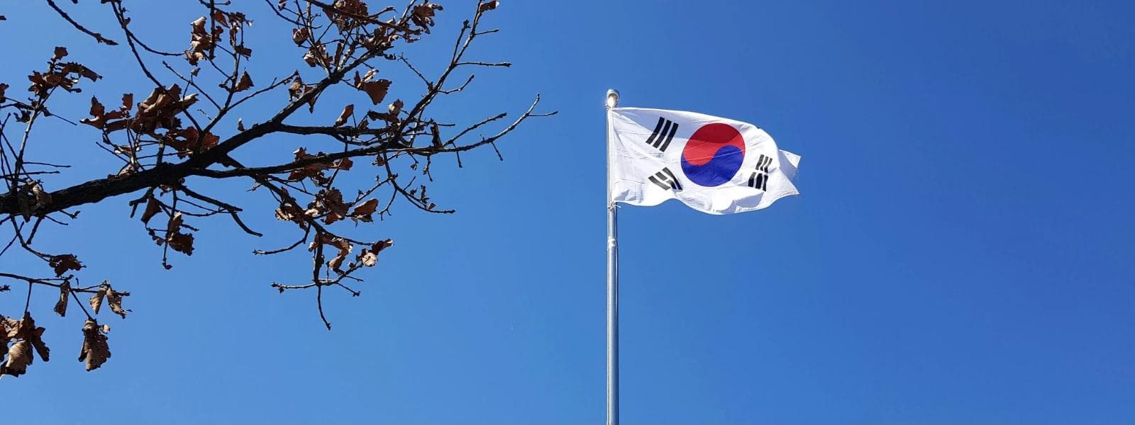 Market Update South Korea