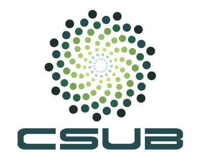 CSUB Group AS